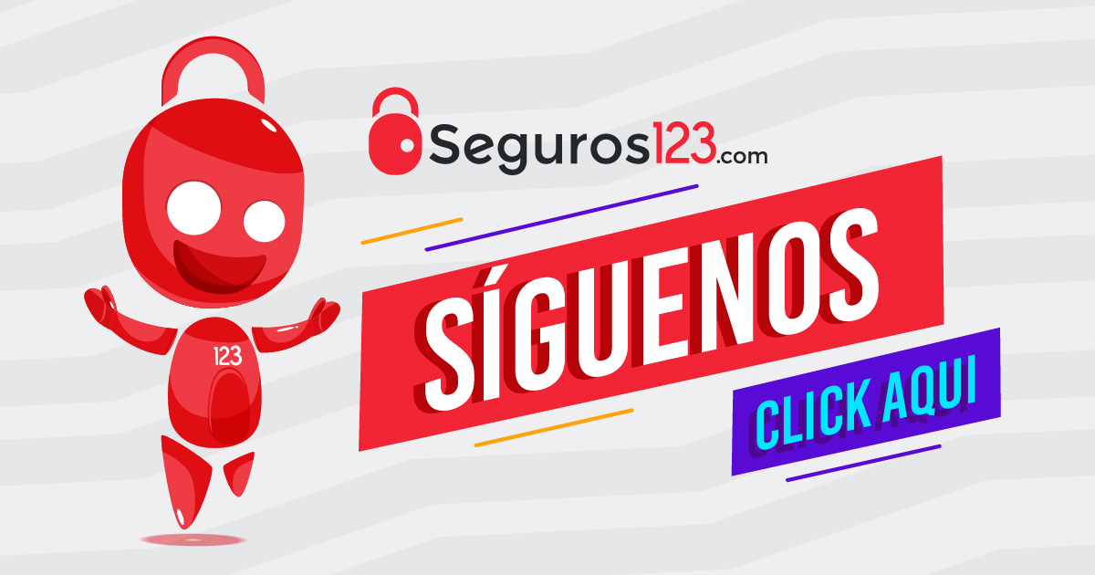 (c) Seguros123.com